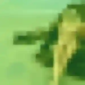 Jing, femme de 39 ans veut rencontre japonaise à Besançon