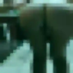 Photo de Jin à Betton (36 ans) - rencontre japonaise sans inscription