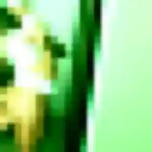 Profil de Nhu à Biarritz (40 ans) - rencontre japonaise gratuit