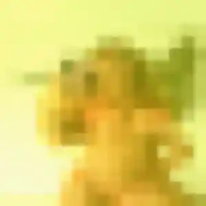 Profil de So-Hee à Billère (41 ans) - rencontre japonaise sans inscription