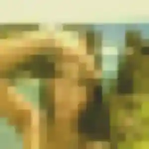 Izumi (45 ans) à Biscarrosse propose un rencontre japonaise aujourd'hui