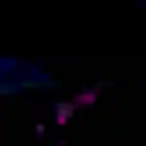 rencontre japonaise à Biscarrosse : profil de Jira, 36 ans - inscription gratuite