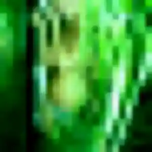 Rencontre Soledad, 22 ans à Bischwiller gratuitement