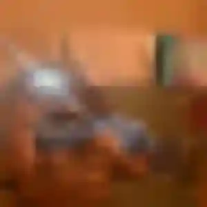 Minami, 33 ans, en ligne à Bois-d'Arcy pour un rencontre japonaise