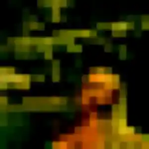 Dahlia de Bollène, 37 ans - rencontre japonaise sans lendemain