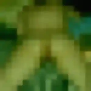 Photo de Trinh à Bollène (35 ans) - rencontre japonaise anonyme