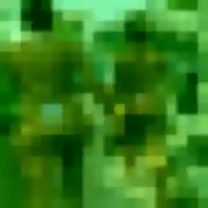 Photo de Chae-Rin à Bouguenais (25 ans) - rencontre japonaise discret