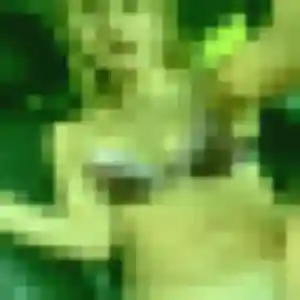 Huong, femme de 34 ans veut rencontre japonaise à Bouguenais