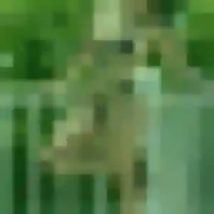 Charmante Quynh, 30 ans à Bouguenais - voir sa photo