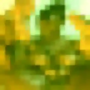 Shan, femme de 22 ans veut rencontre japonaise à Bouguenais