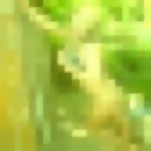 Neary, 41 ans, cherche un rencontre japonaise à Boulazac Isle Manoire