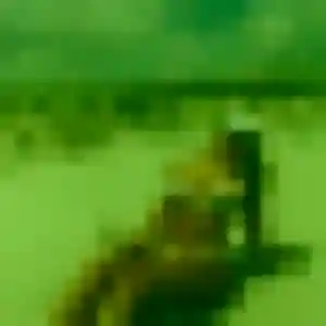 rencontre japonaise à Bras-Panon : photo de So-Ra, 36 ans - inscription gratuite