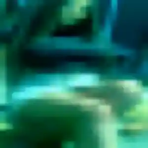 rencontre japonaise à Brest : profil de Lien, 25 ans - accès libre