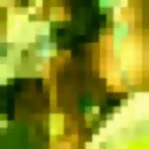 Photo privée de Tawan, 25 ans à Brest - rencontre sans lendemain