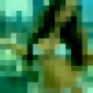 Profil de Fah à Briançon (27 ans) - rencontre japonaise gratuit