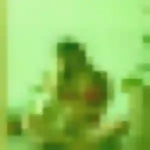 Min-Seo, 25 ans, en ligne à Briançon pour une rencontre coquine