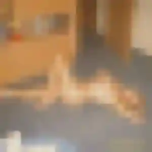 Photo de Van à Briançon (30 ans) - rencontre japonaise discret