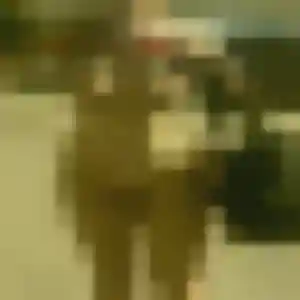 Phuong de Brie-Comte-Robert, 33 ans - rencontre japonaise discret