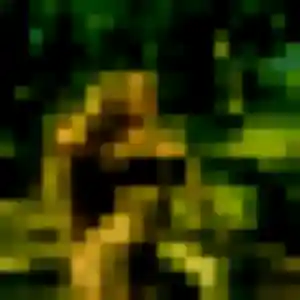 Charmante So-Hee, 37 ans à Brie-Comte-Robert - découvrir son profil