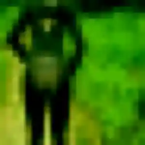 rencontre japonaise à Brignais : profil de Bopha, 23 ans - inscription gratuite