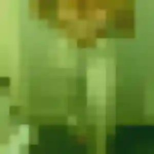 Photo de Mei à Brignais (31 ans) - rencontre japonaise gratuit