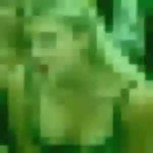 Profil de Yoon-Ah à Brignais (44 ans) - rencontre japonaise gratuit