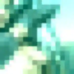 Thuy-Linh, femme de 41 ans cherche rencontre japonaise à Brissac Loire Aubance