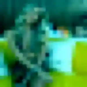 Profil de Junko à Bruay-sur-l'Escaut (33 ans) - rencontre japonaise gratuit