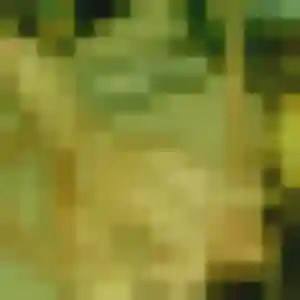 Charmante Panida, 32 ans à Bruges - la contacter