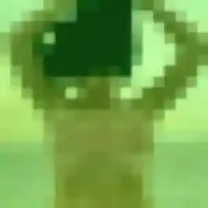 Photo de Yumi à Bruges (23 ans) - rencontre japonaise anonyme