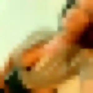 Photo de Hathai à Brunoy (22 ans) - rencontre japonaise sans inscription