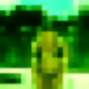 Khanh, fille de 42 ans propose rencontre japonaise à Bry-sur-Marne