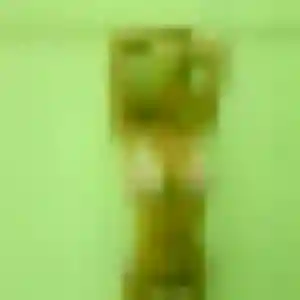 Belle Reiko, 24 ans à Cambrai - la contacter