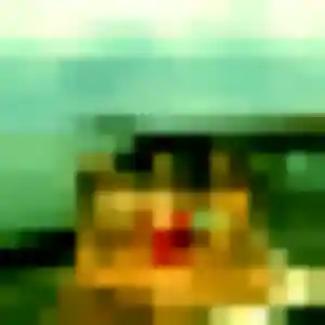 Photo de Hathai à Canet-en-Roussillon (42 ans) - rencontre japonaise anonyme