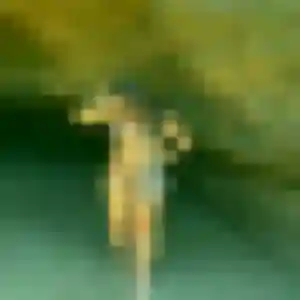 Rosa de Canet-en-Roussillon, 34 ans - rencontre japonaise discret