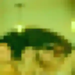 Pu de Carcassonne, 34 ans - rencontre japonaise sans prise de tête