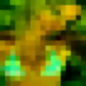 Photo exclusive de Tuyet, 29 ans à Carvin - plan discret