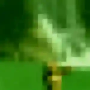 Yukiko de Castelginest, 43 ans - rencontre japonaise sans prise de tête