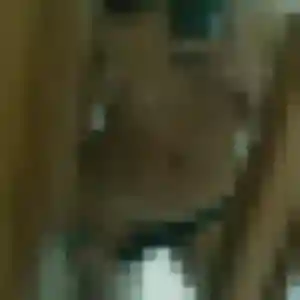 Photo perso de Harumi, 22 ans à Castelnau-le-Lez - rencontre coquine