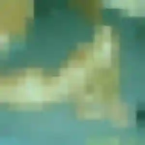 Lan (42 ans) à Castelnaudary propose un rencontre japonaise rapidement