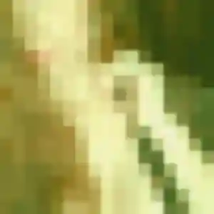 Photo de Qing à Castres (31 ans) - rencontre japonaise discret