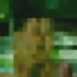 Yuphin de Cavaillon, 39 ans - rencontre japonaise sans lendemain