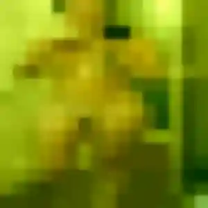 Profil de Xuan à Cenon (42 ans) - rencontre japonaise anonyme