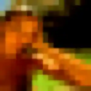 rencontre japonaise à Chalon-sur-Saône : photo de Dao, 23 ans - sans engagement