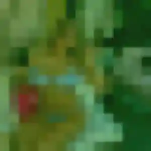 Profil de Mylene à Chalon-sur-Saône (35 ans) - rencontre japonaise gratuit