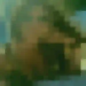 Photo exclusive de Anh, 39 ans à Chambray-lès-Tours - rencontre sans lendemain