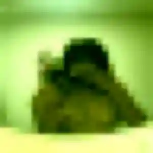 Profil de Asami à Chanteloup-les-Vignes (38 ans) - rencontre japonaise anonyme