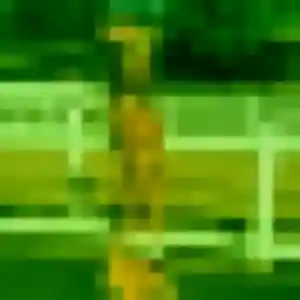 Loan de Charenton-le-Pont, 22 ans - rencontre japonaise discret