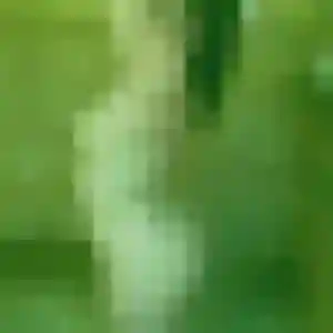 Pich, 43 ans, connectée à Charenton-le-Pont pour un rencontre japonaise