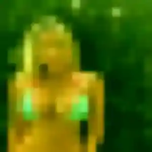 Grace, 40 ans, connectée à Chartres pour un rencontre japonaise